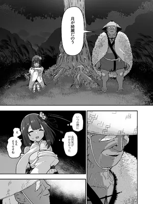 [こまめすがた (吾暮えくと)] 稗堕プレビュー版 (東方Project) [DL版]_33