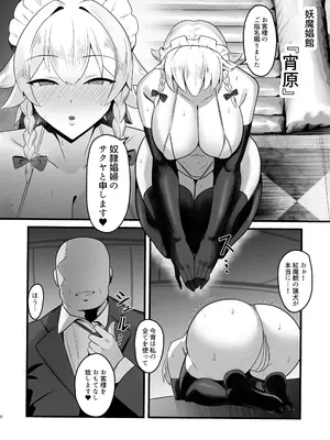 (c105) [公共広告奇行 (瀬上大輔)] 対魔使用人サクヤ3 (東方Project)_03