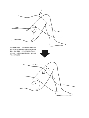 [由良橋勢] 膣挿入＆ピストン運動完全マニュアル イラスト版……ピスとんッ！｜抽插攻略：圖解陰道插入．活塞運動完全指南_019
