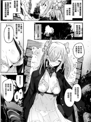 [Croriin] ヤリこみクロニクル～異種族性交記～ [无修正] [DL版]_011