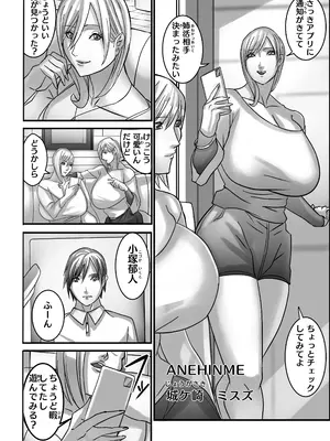 [Work makes evolution (しろぴっぴ)] ANEHIME labyrinth_017