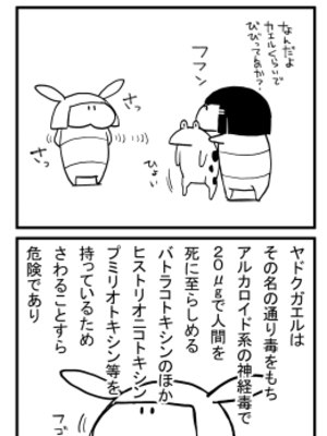 [Fantia ] Yadokugaeru ヤドクガエル(Locon) (2024.12.29) 1656P [Don't Trust and Support Irodori Comics !]_0414