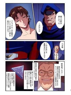 (C105) [penpen工房 (92penpen)] ストリートファイターⅡV 春麗が辿るこれからの物語 (ストリートファイターII)_29