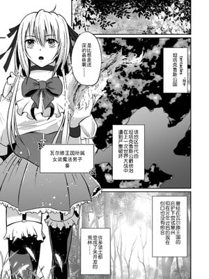[天宮らいか] 女装魔法男子触手调教譚 [贱兔汉化组x禁漫天堂]_04