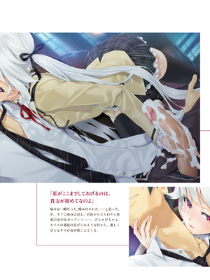 (画集) 美少女万華鏡-八宝備仁アートワークス 上_a011