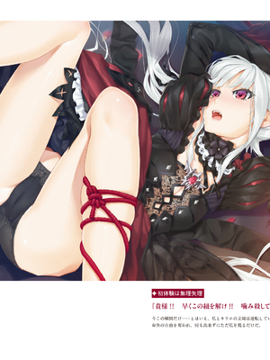 (画集) 美少女万華鏡-八宝備仁アートワークス 上_a012