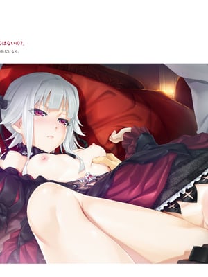 (画集) 美少女万華鏡-八宝備仁アートワークス 上_a054
