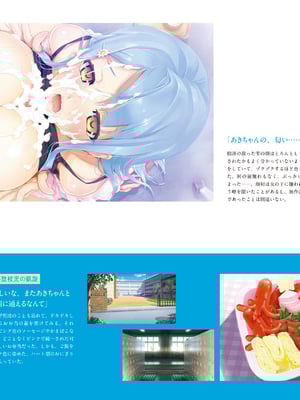 (画集) 美少女万華鏡-八宝備仁アートワークス 上_a083