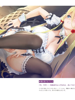 (画集) 美少女万華鏡-八宝備仁アートワークス 上_a174