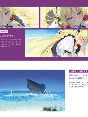 (画集) 美少女万華鏡-八宝備仁アートワークス 上_a176
