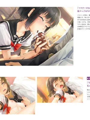 (画集) 美少女万華鏡-八宝備仁アートワークス 上_a219