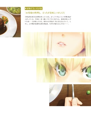 (画集) 美少女万華鏡-八宝備仁アートワークス 下_b040