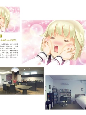 (画集) 美少女万華鏡-八宝備仁アートワークス 下_b041