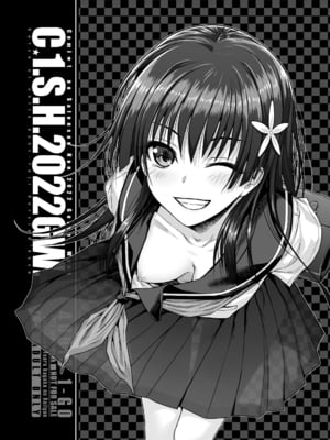 [40010壱号 (40010試作型)] 佐天さん、色々映像総集編 (とある科学の超電磁砲)_115