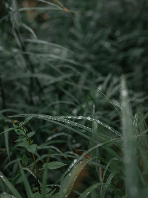 [kenken] くの一忍法お色気の術DL写真集_fig132
