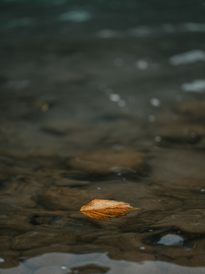 [kenken] くの一忍法お色気の術DL写真集_fig136