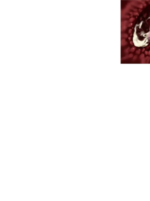 [しなちくかすてぃーら] 紅獄の剣士ティーナ_0764_Fex08a1