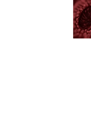 [しなちくかすてぃーら] 紅獄の剣士ティーナ_0770_Fex08c