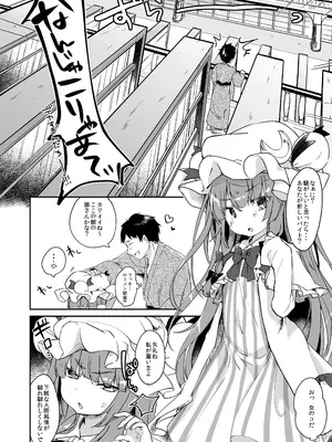 [毛玉牛乳 (玉之けだま)] からくちパチュリーさま ＋おまけ本 (東方Project) [DL版]_03