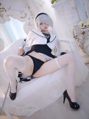 疯猫ss – 2B同人_25