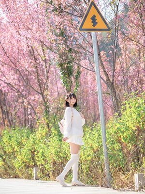 [しずく（原魔物喵）] 桜