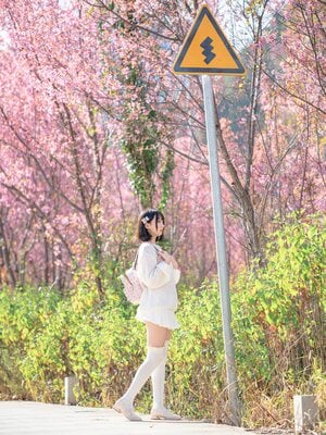 [しずく（原魔物喵）] 桜_035