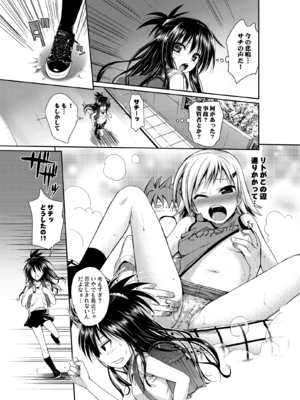 [40010壱号 (40010試作型)] Prototype Orange (To LOVEる -とらぶる-) [DL版]_PO038_GR