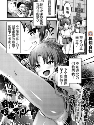 [ぶっくまうんten] 目覚めよ喧嘩ストリート｜觉醒吧，街头斗殴 (COMIC ネクロシス vol.1) [小水笔机翻自校]