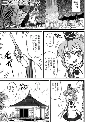 (C105) [革命政府広報室 (ラヂヲヘッド)] 東方総集編 幻想郷ふたなり異聞 (東方Project)_44