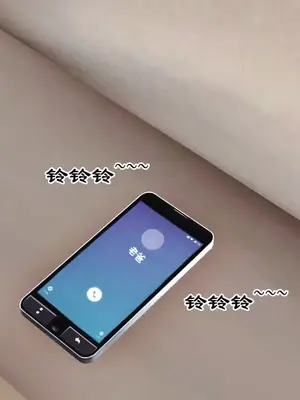[19] 我、妈妈、大姨子的性事_00260