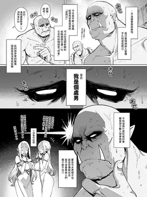 [煎茶柱] 妖精娼館 3号室レイシー ~黒肌エルフを指名した童貞オーク~ [日本語]+[中国語]_12