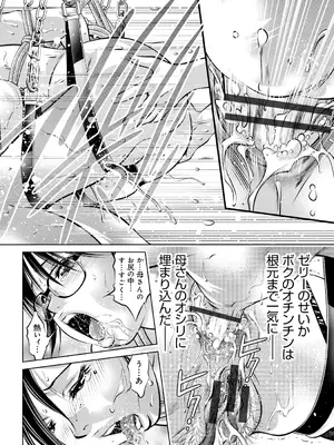 [滝れーき、鬼窪浩久] 母と息子の姦美な調教講座 [DL版]_037