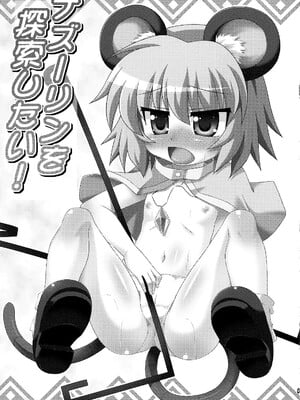 [守矢十字陵汉化] (例大祭7) [最果て空間 (緋乃ひの)] ナズーリンを探索したい！ | 来探索纳兹琳吧！ (東方Project)_03