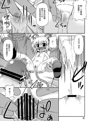 [守矢十字陵汉化] (例大祭7) [最果て空間 (緋乃ひの)] ナズーリンを探索したい！ | 来探索纳兹琳吧！ (東方Project)_07