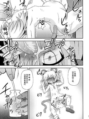 [守矢十字陵汉化] (例大祭7) [最果て空間 (緋乃ひの)] ナズーリンを探索したい！ | 来探索纳兹琳吧！ (東方Project)_11