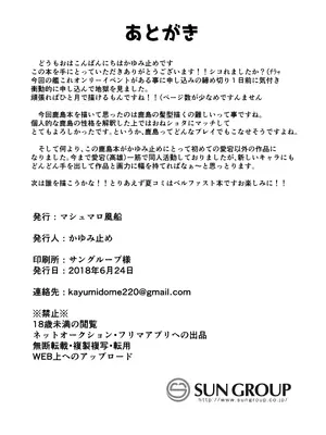 [マシュマロ風船 (かゆみ止め)] ショタ提督が鹿島と練習Hする本 (艦隊これくしょん -艦これ-) [DL版]_20