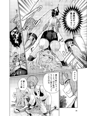 [レイドソックス (トリッキー)] 狂乱の討伐姫ダリア3 [DL版]_35