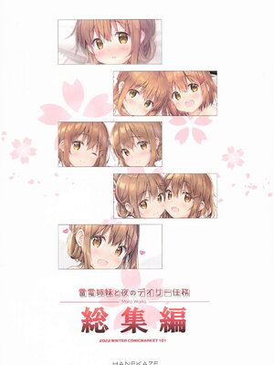 [HANEKAZE (秋月つかさ)] 雷電姉妹と夜のデイリー任務 -mono works- 総集編 (艦隊これくしょん -艦これ-)_120