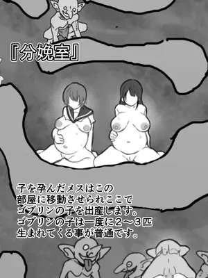 [るち餡(ruutyan)]【衝撃】ゴブリンの巣穴にメスを入れて観察した結果がヤバすぎた[日本語]_11_10