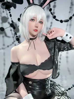 星之迟迟 - 25年3月计划C 尼尔：机械纪元 2B 兔女郎_32