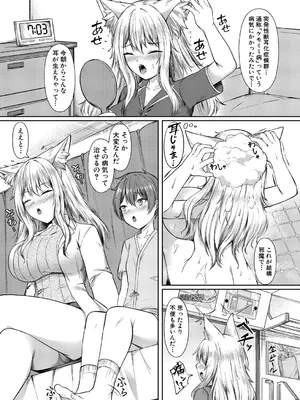 COMIC 真激 2025年6月号 [DL版]_462