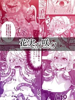 [花実ガ咲ク (櫻井穐)] 女帝エルフセレーナ～エチコロンカ帝国の没落～[中国翻訳]_00026