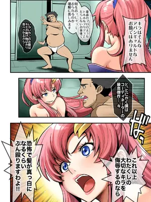 (C105) [メタボ喫茶異臭騒ぎ (いたちょう)] Sleeping Beauty (機動戦士ガンダムSEED FREEDOM) [DL版]_06