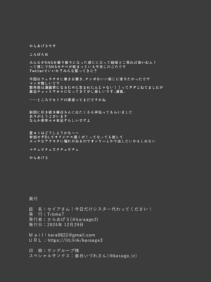 [TrinkeT (からあげ3)] セイアさん!今日だけシスター代わってください! (ブルーアーカイブ)_23