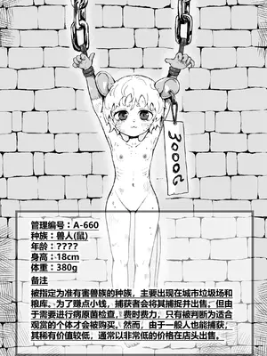 [曰クわく] 異世界奴隷市場に行ってみた。総集編②｜去了趟异世界奴隶市场 总集篇② [中国翻訳]_75