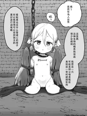 [曰クわく] 異世界奴隷市場に行ってみた。総集編②｜去了趟异世界奴隶市场 总集篇② [中国翻訳]_78