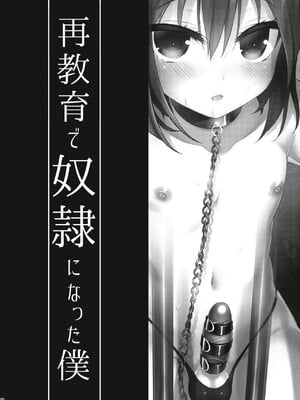 [音速エビフライ (レゥ)] 男の娘メス堕ち調教誌 総集編 [DL版][中国翻译]_0072