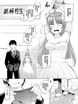 [川邑司] フィーナ・ファム・アーシュライト様まんが グレスケ版 (夜明け前より瑠璃色な) [中国翻訳]