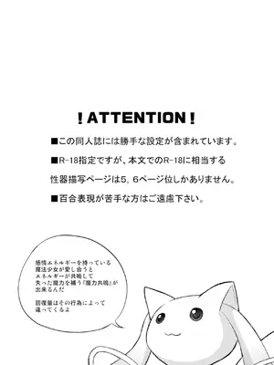 (C81) [えねるぎあ (ぴかち)] さやかの×××大作戦 (魔法少女まどか☆マギカ) [透明声彩汉化组]_03