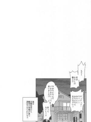 (COMIC1☆26) [熟成角砂糖 (sugarBt)] キラッキランランなんてなかった (キミとアイドルプリキュア♪)_20